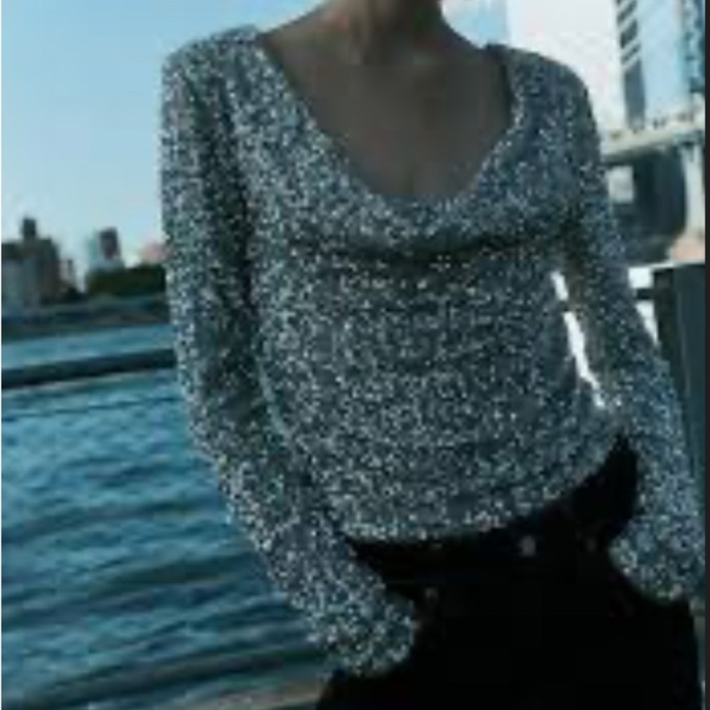 Zara Elegant Silver Sequin Women's Top